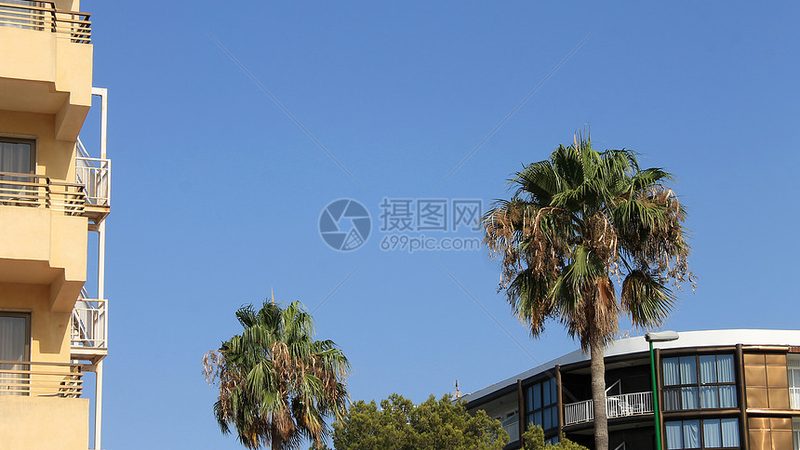 酒店客房管理软件：如何提升运营效率与客户体验